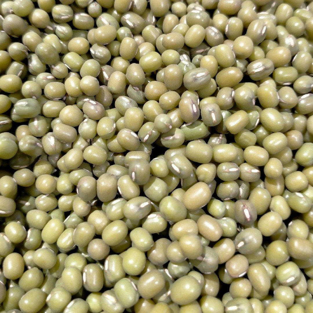 绿豆甘肃农家自产品种新鲜杂粮豆芽西北豆子绿豆