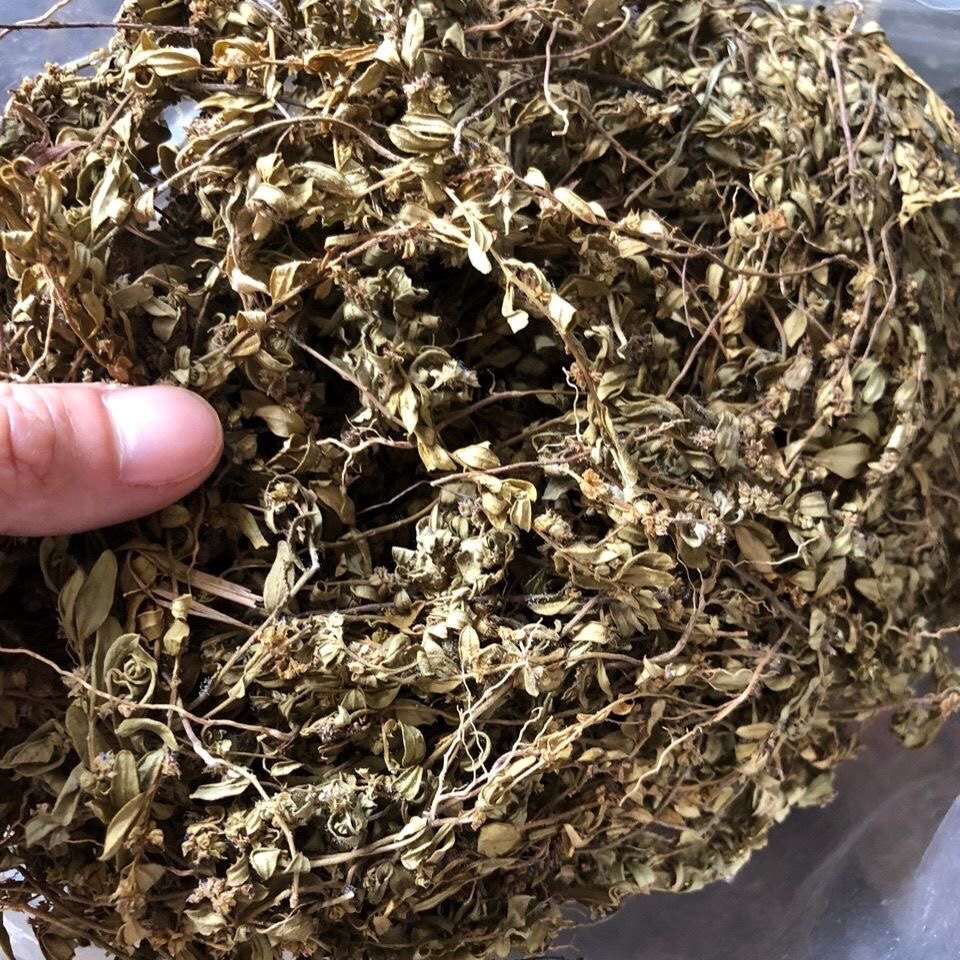 金牛中药材小金草小金不换250克七寸寸金紫背小兰其他药食同源食品