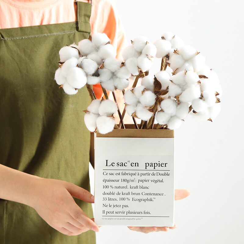 天然木棉花干花永生花棉花鲜花花束diy装饰配饰包装材料拍摄道具