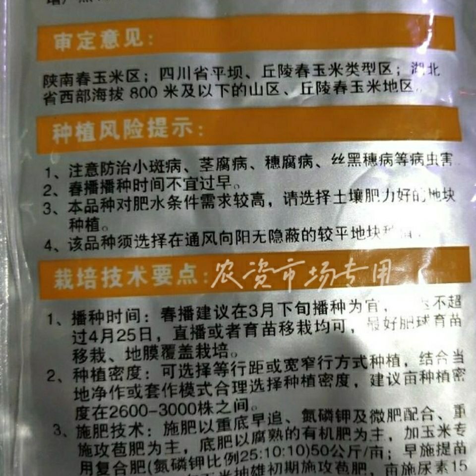 宁单19号饲料玉米种子高产新品种抗旱抗倒中杆蔬菜种子