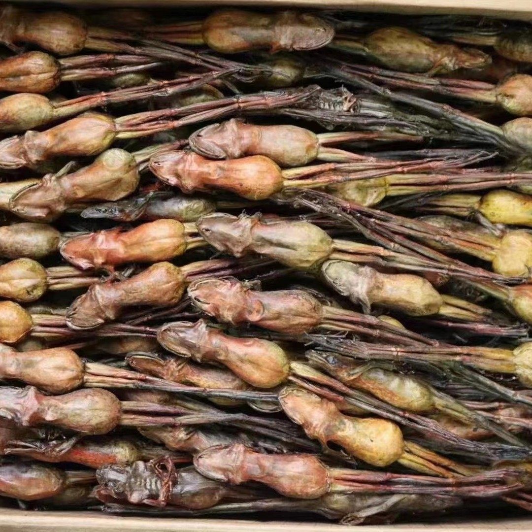 东北长白山雪蛤雪哈干货木瓜林蛙蛤蟆油润10只雪蛤干