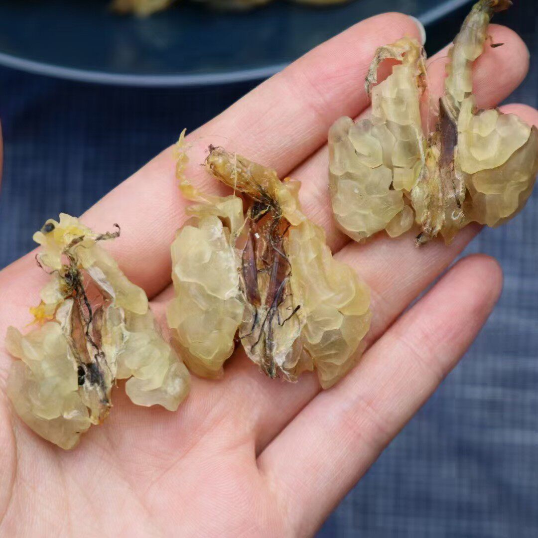 正品雪蛤50克东北长白长白山山林蛙雪油膏连体雪蛤油