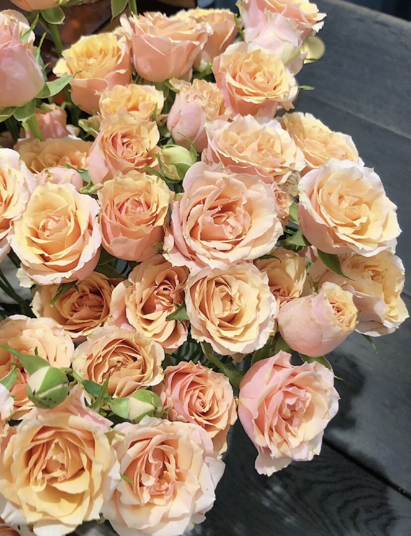 新品裸粉多头玫瑰宝贝宝贝爱爱人情人节易开炸香味鲜花速递同城