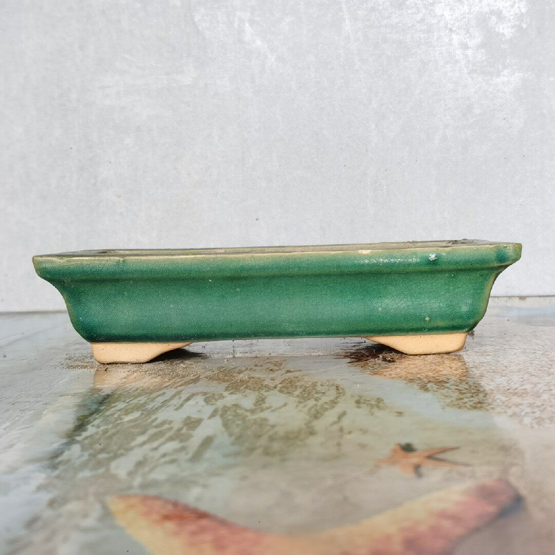 shi wan pai/石湾进入店铺晶晖盆景