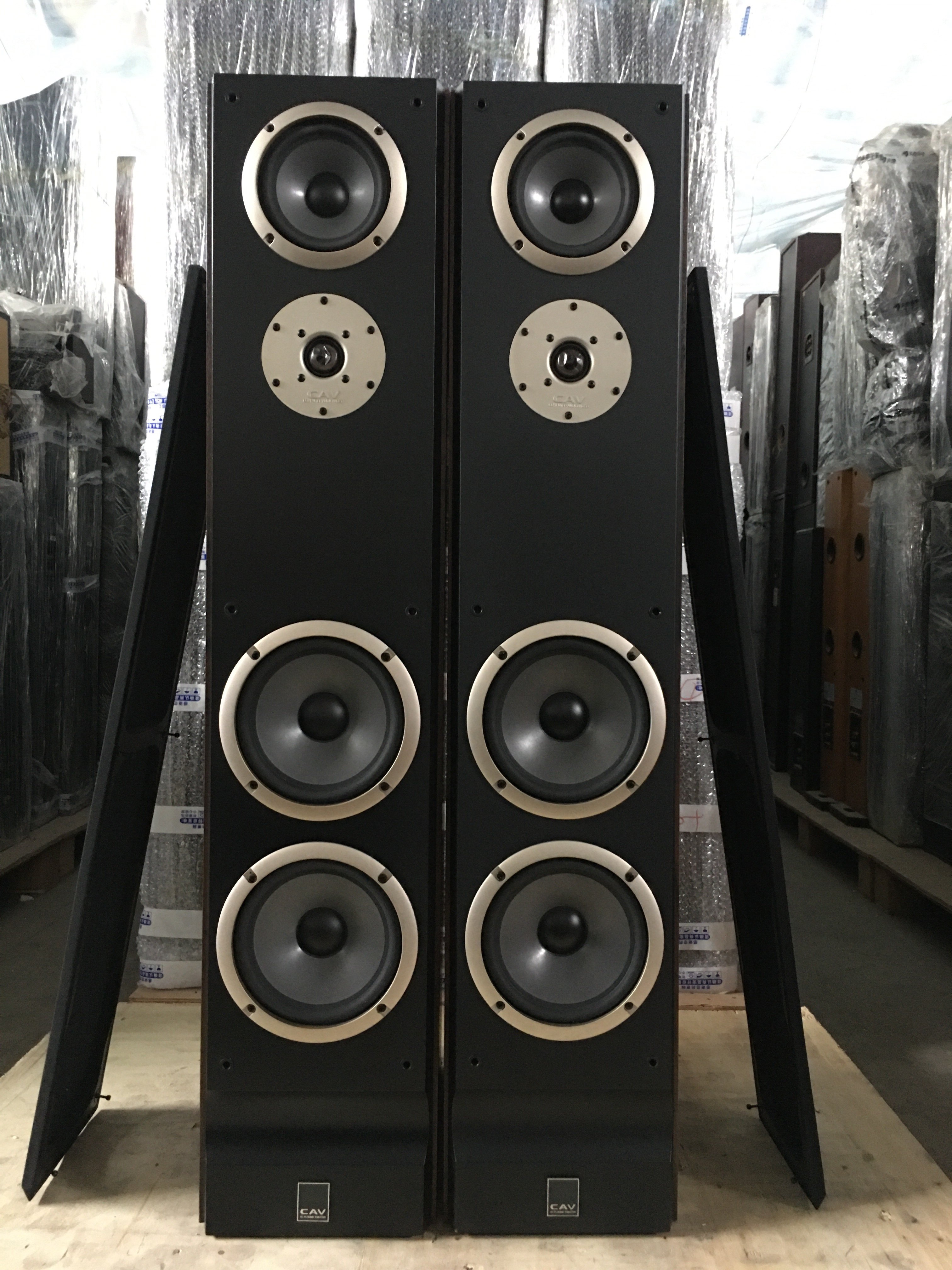 二手原装cav丽声sp70065寸低音落地音箱发烧hifi音箱