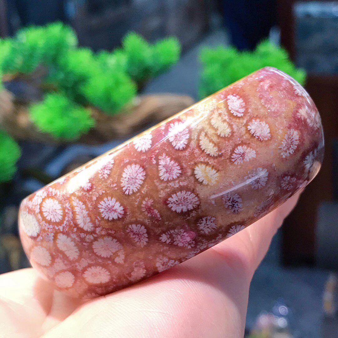 一博珊福精品天然珊瑚玉紫粉宽版手镯手镯