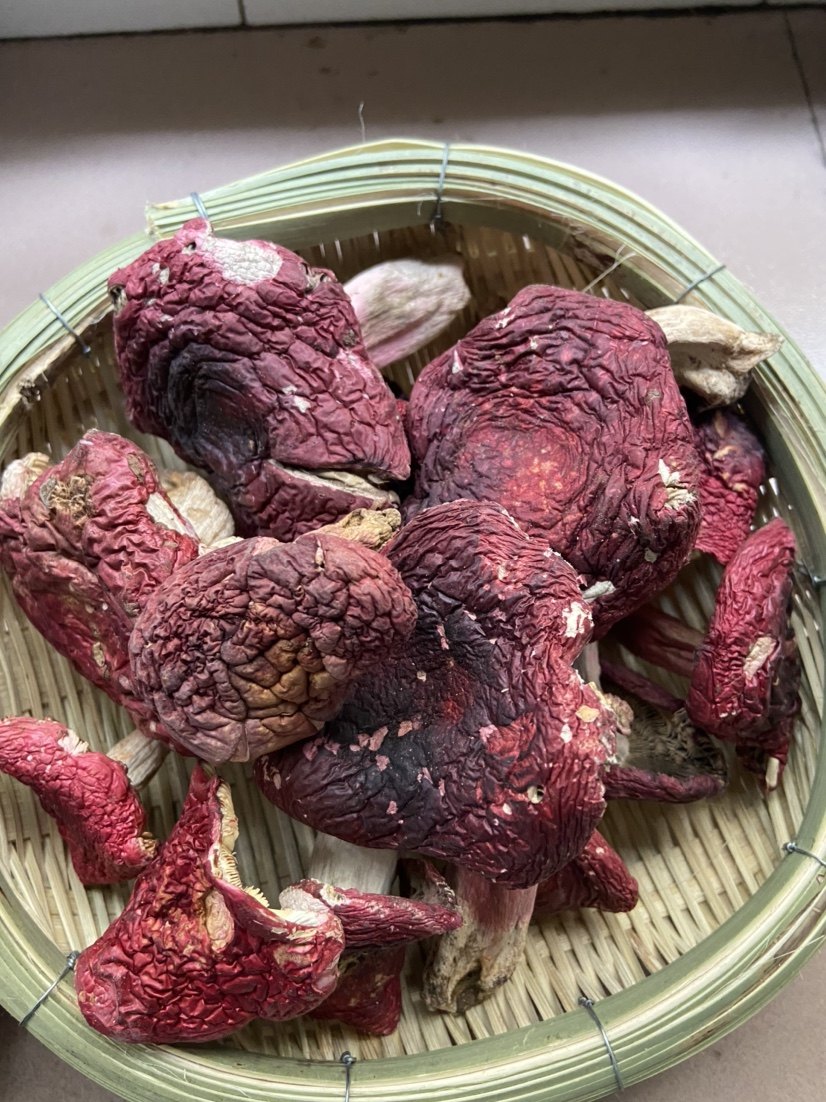 云南纯野野生普洱大红菇未开伞家庭体验1斤其它