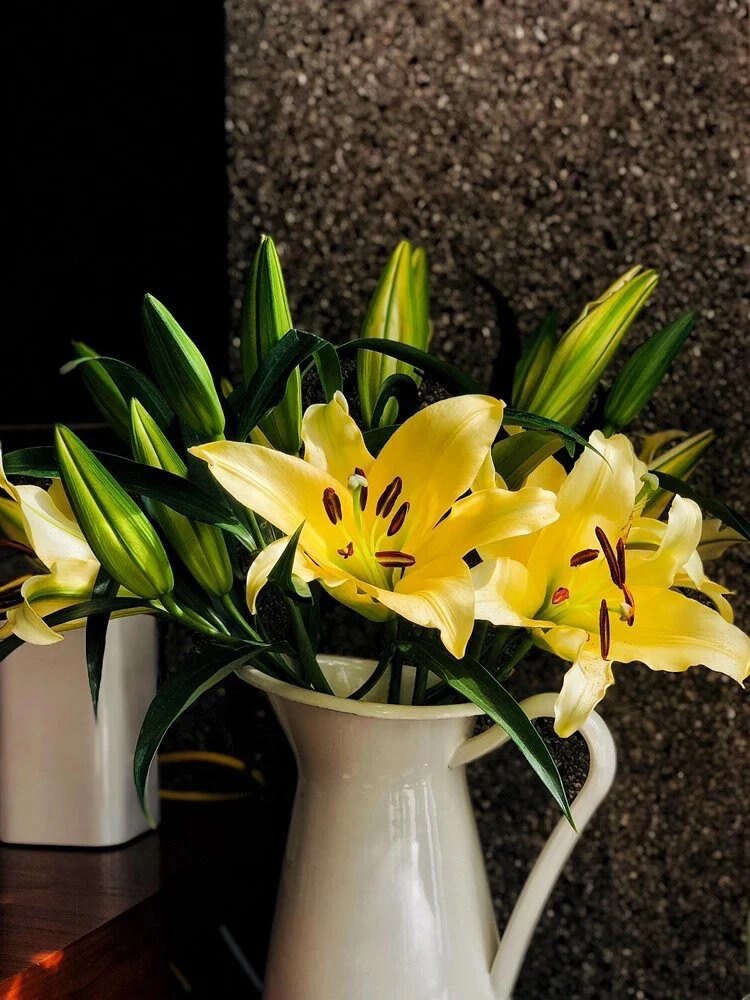 品质皇帝金百合多头10支橙鲜切大花苞插花云南时令草本花卉