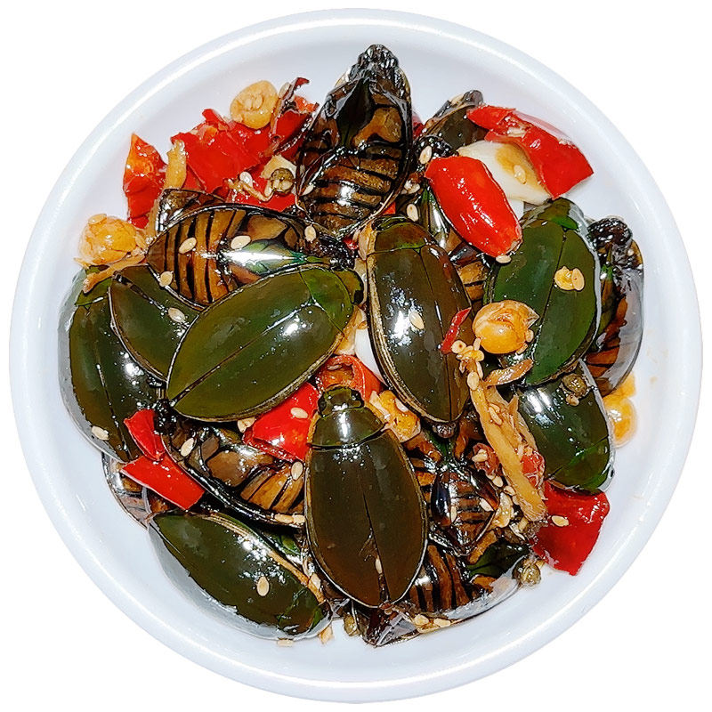油炸鳖盖大射昆虫食用虫水金边龙虱大金老鳖其它生肉制品