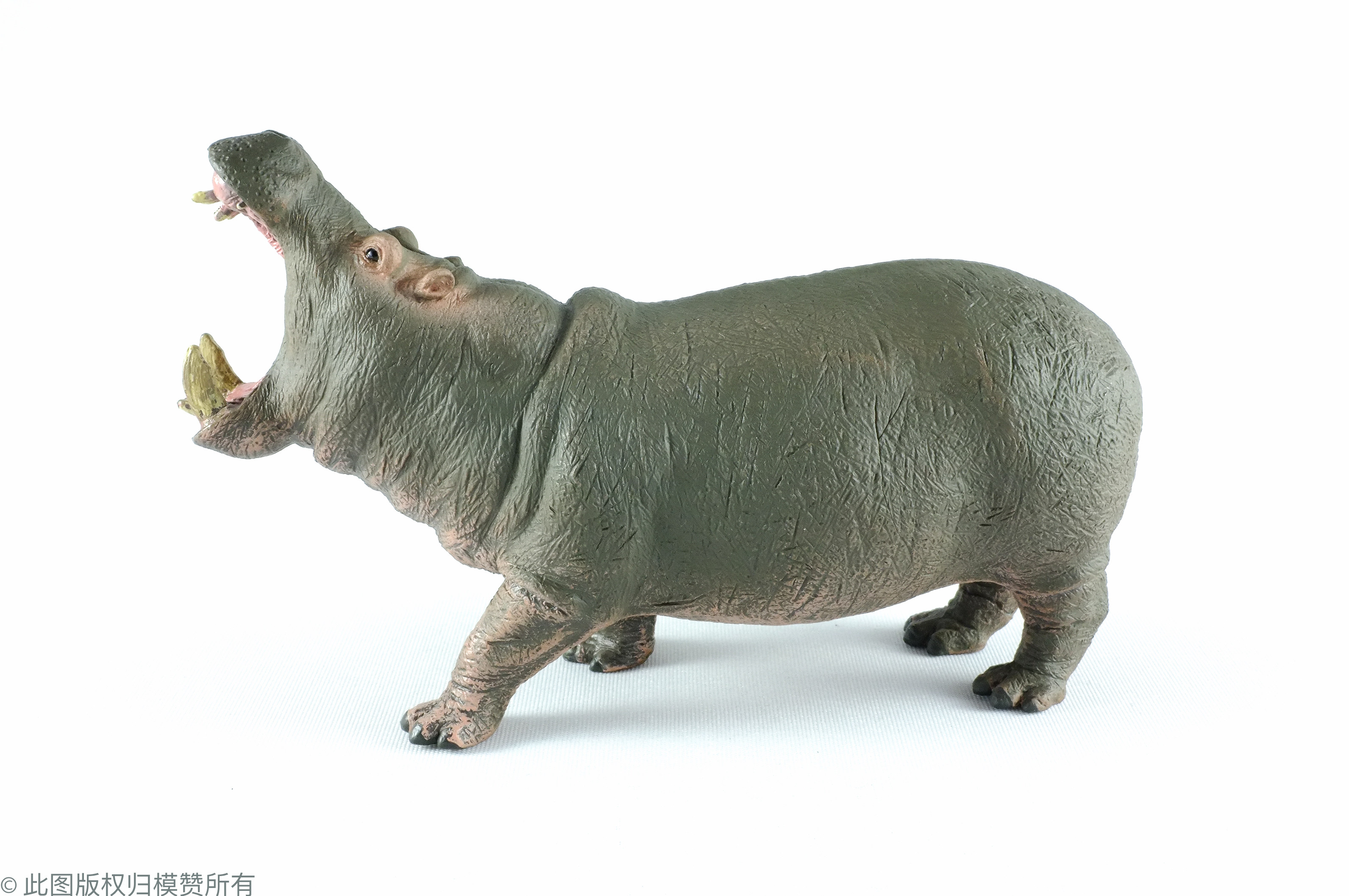 collecta你他野生动物仿真模型河马88833仿真