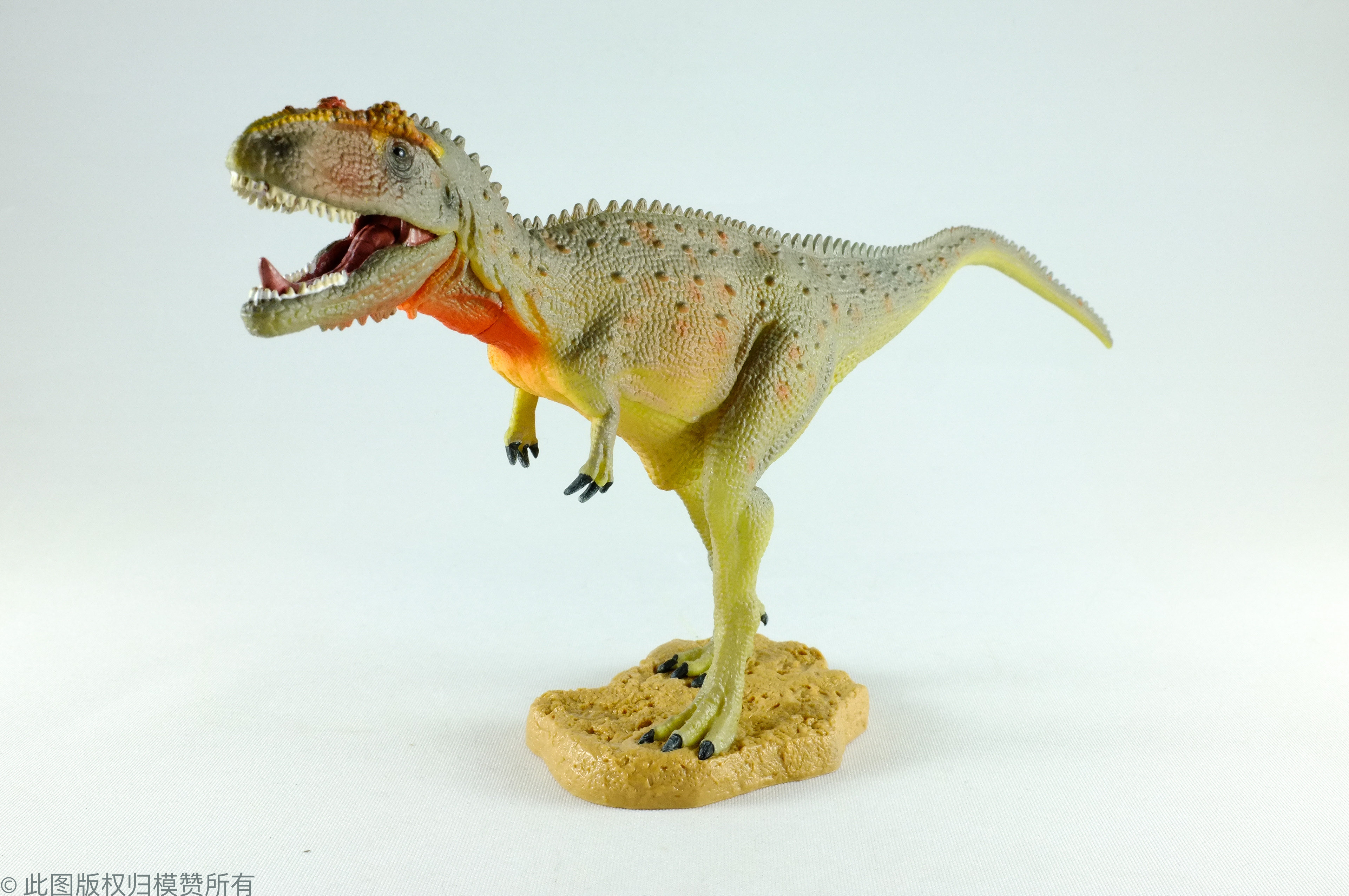 collecta你他恐龙玩具仿真动物儿童玩具模型马普龙普龙仿真