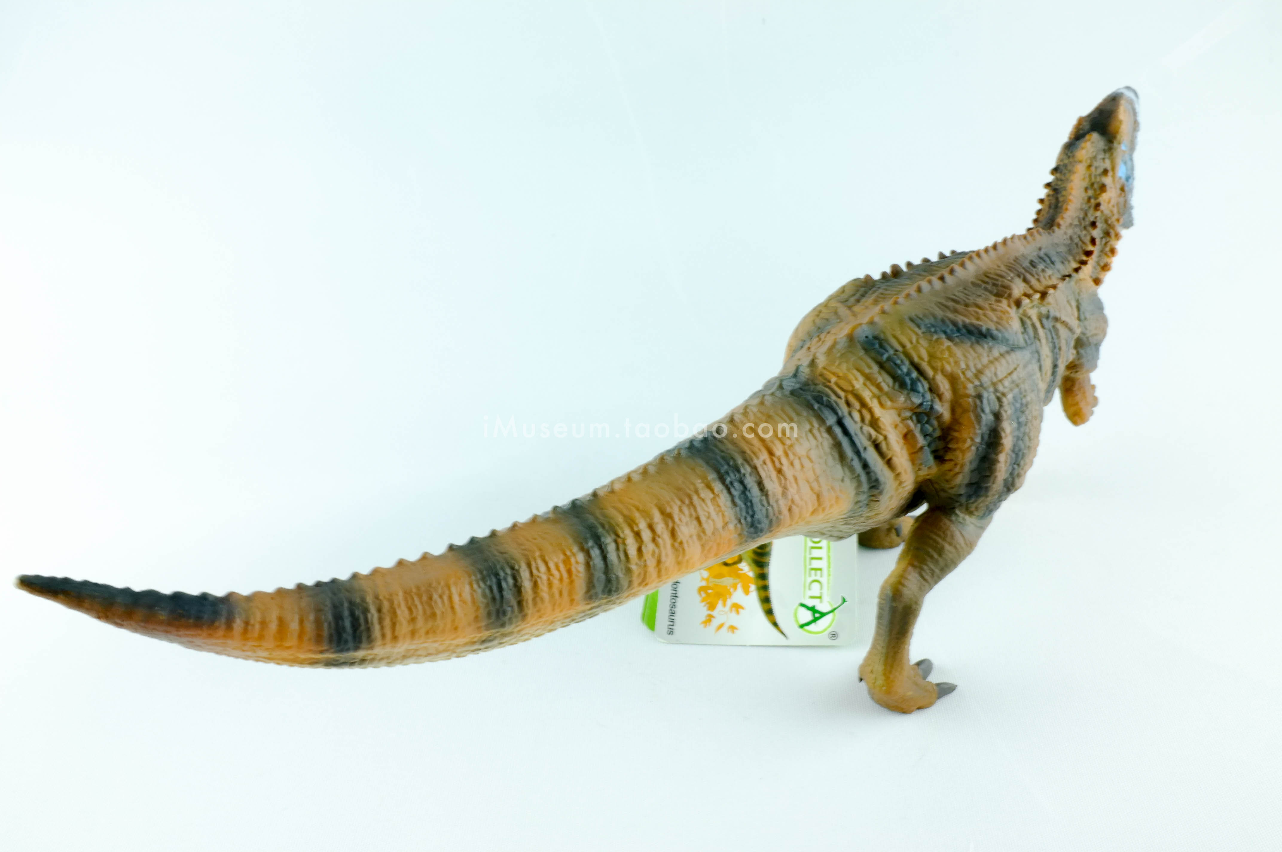 collecta我你他仿真恐龙模型动物玩具鲨齿龙真实比例成人孩童手办