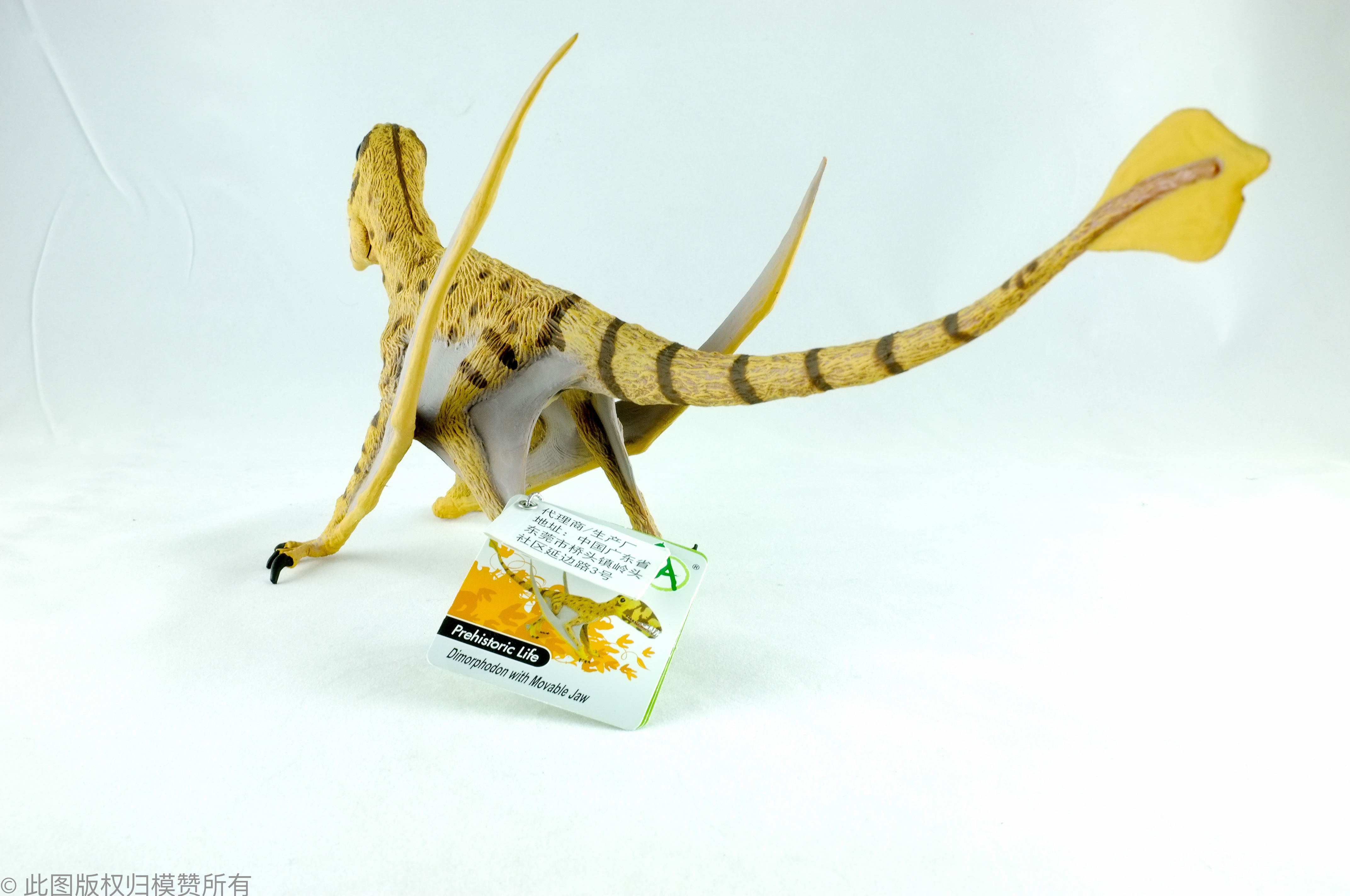 collecta仿真恐龙动物模型玩具双型齿翼龙男孩送礼摆件收藏88798