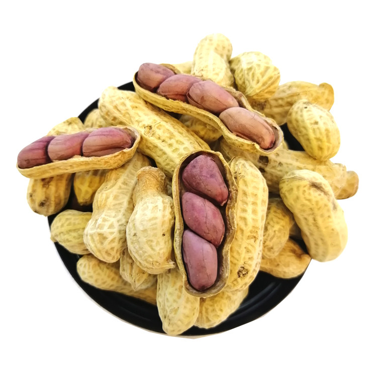 休闲包酒糟花生咸干酒糟400gx20零食先生皮力酒厂花生