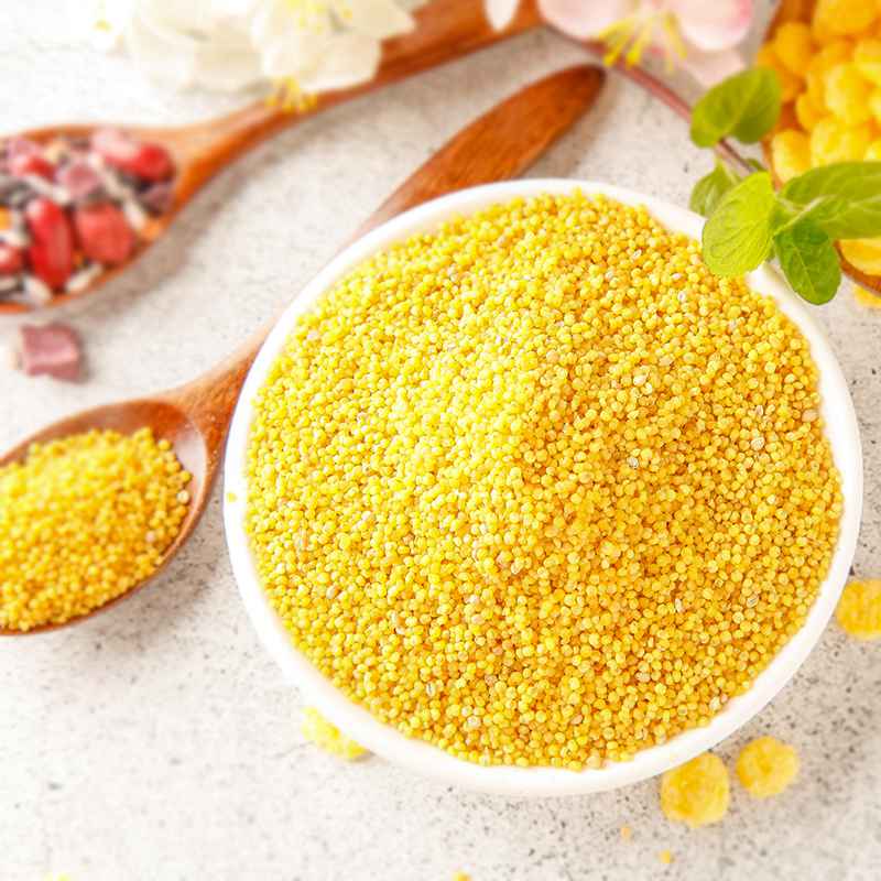 小米四旗厅黄旗承德农家自产黄小米五谷杂粮5斤共8袋小米