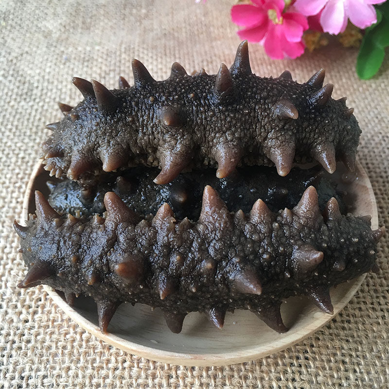 山东长岛纯淡海参刺参喂养根根满刺肉质厚实干品