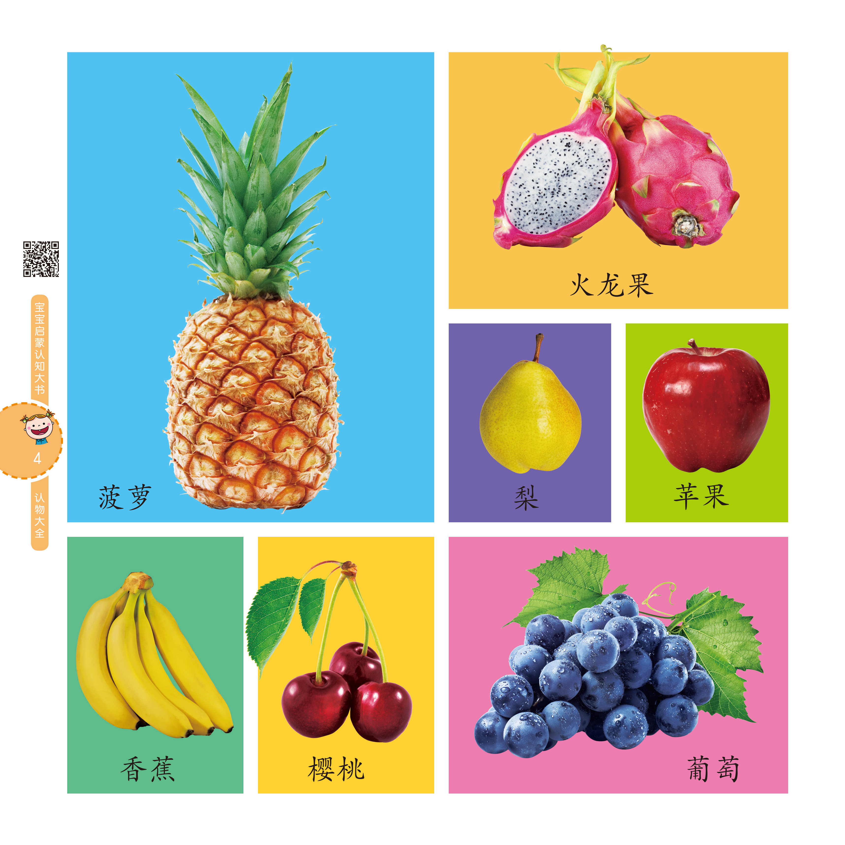 认知认物儿童早教启蒙宝宝高清大爱德开本大字启蒙认知书