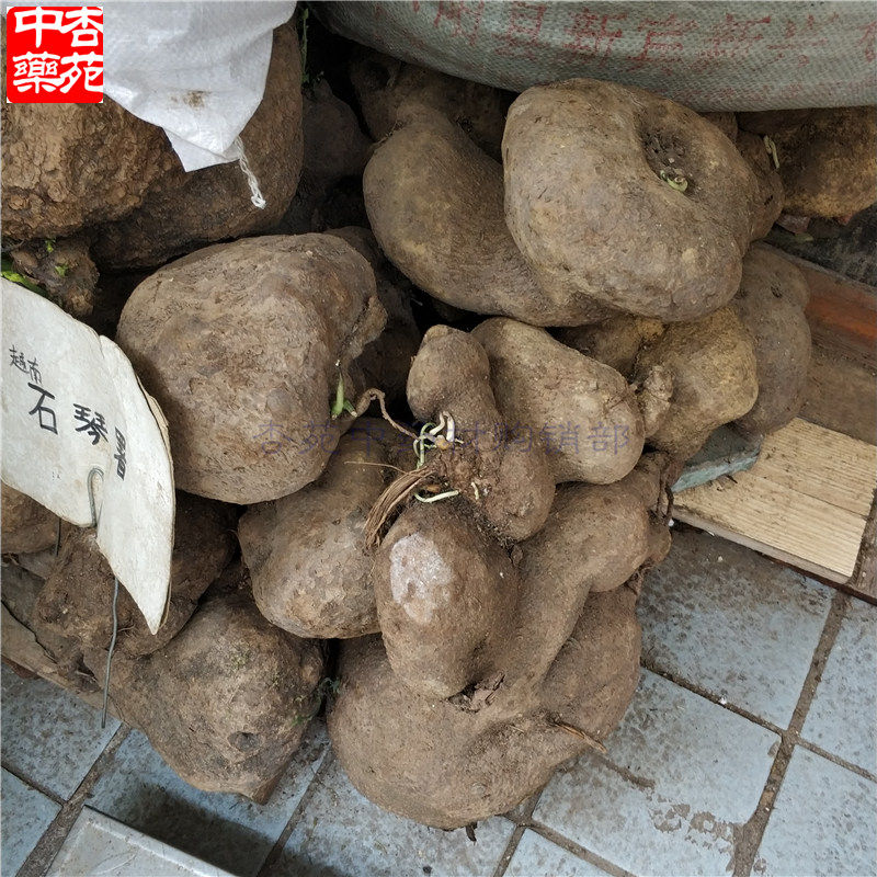 乌龟1000克新鲜金不换不容中药材山石琴薯独脚乌桕植物其他药食同源
