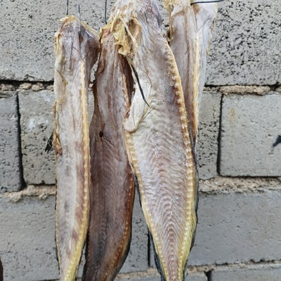 日照岚山大马哈鱼鲶鱼咸鱼鲑鱼干胖海鱼海鲜干货其它