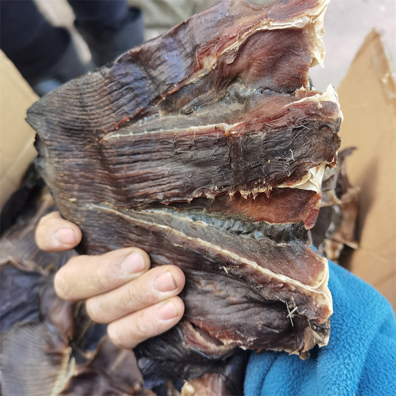 日照特产老板鱼干孔鳐鱼夫鱼魔鬼鱼鲽鱼淡盐瑶鱼干
