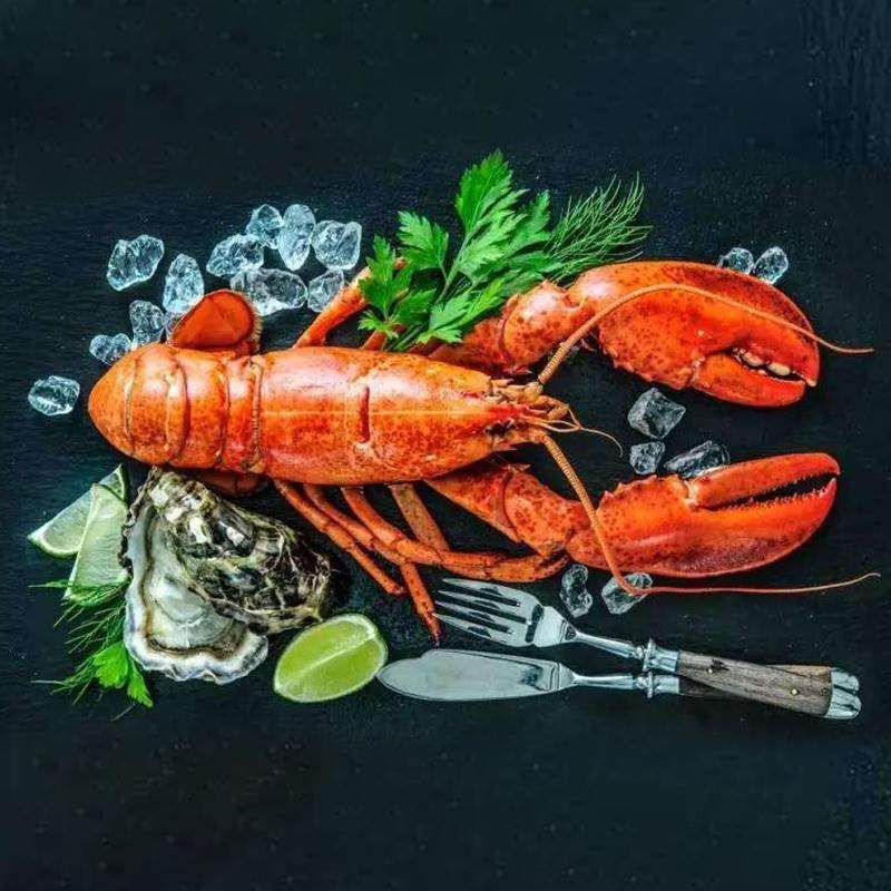 凡云生鲜波士顿龙虾鲜活小波龙新鲜1822斤海鲜澳龙大龙虾水产