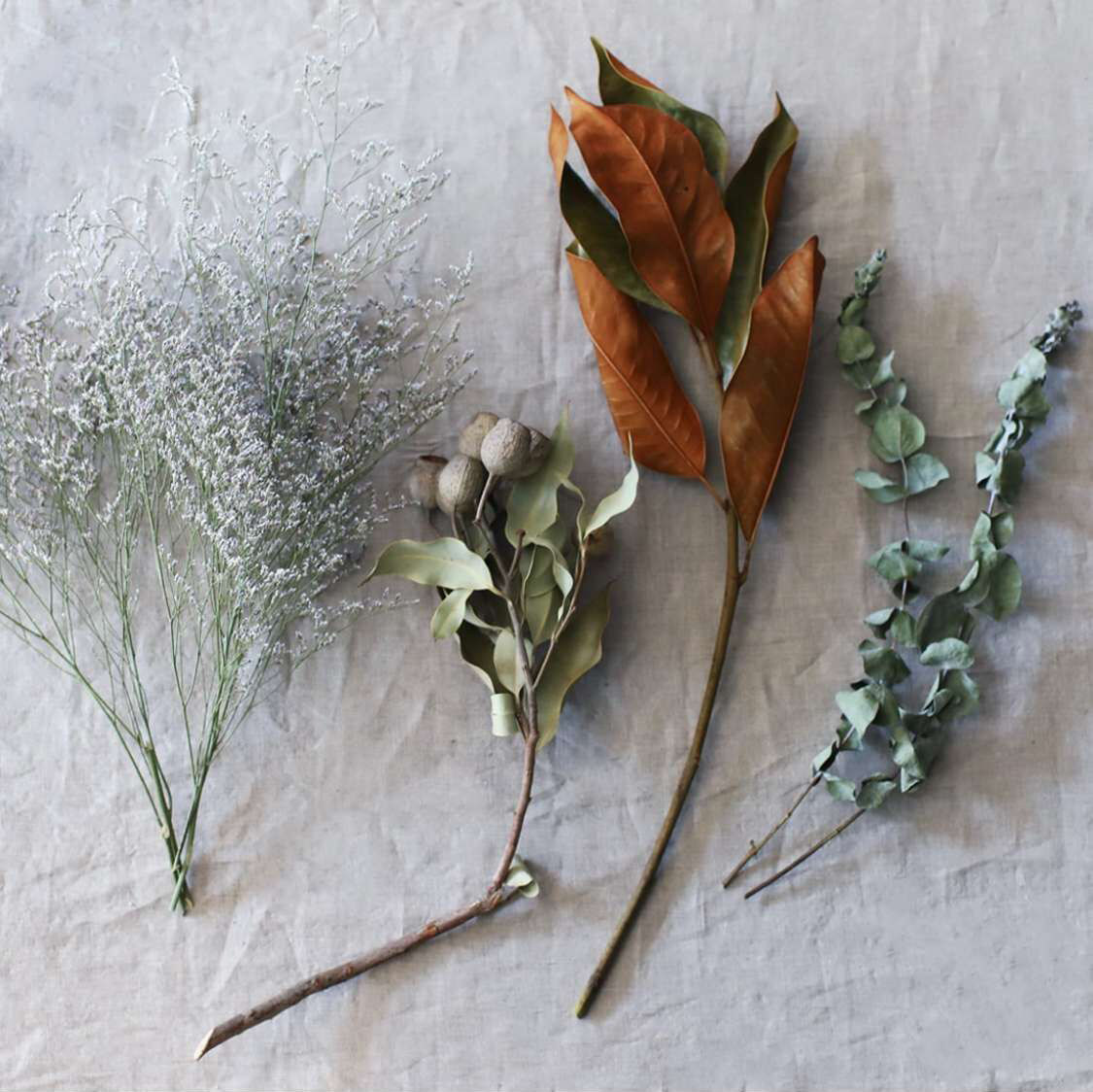 北欧新款文艺复古古罗舌兰植物干花花树叶花束干花