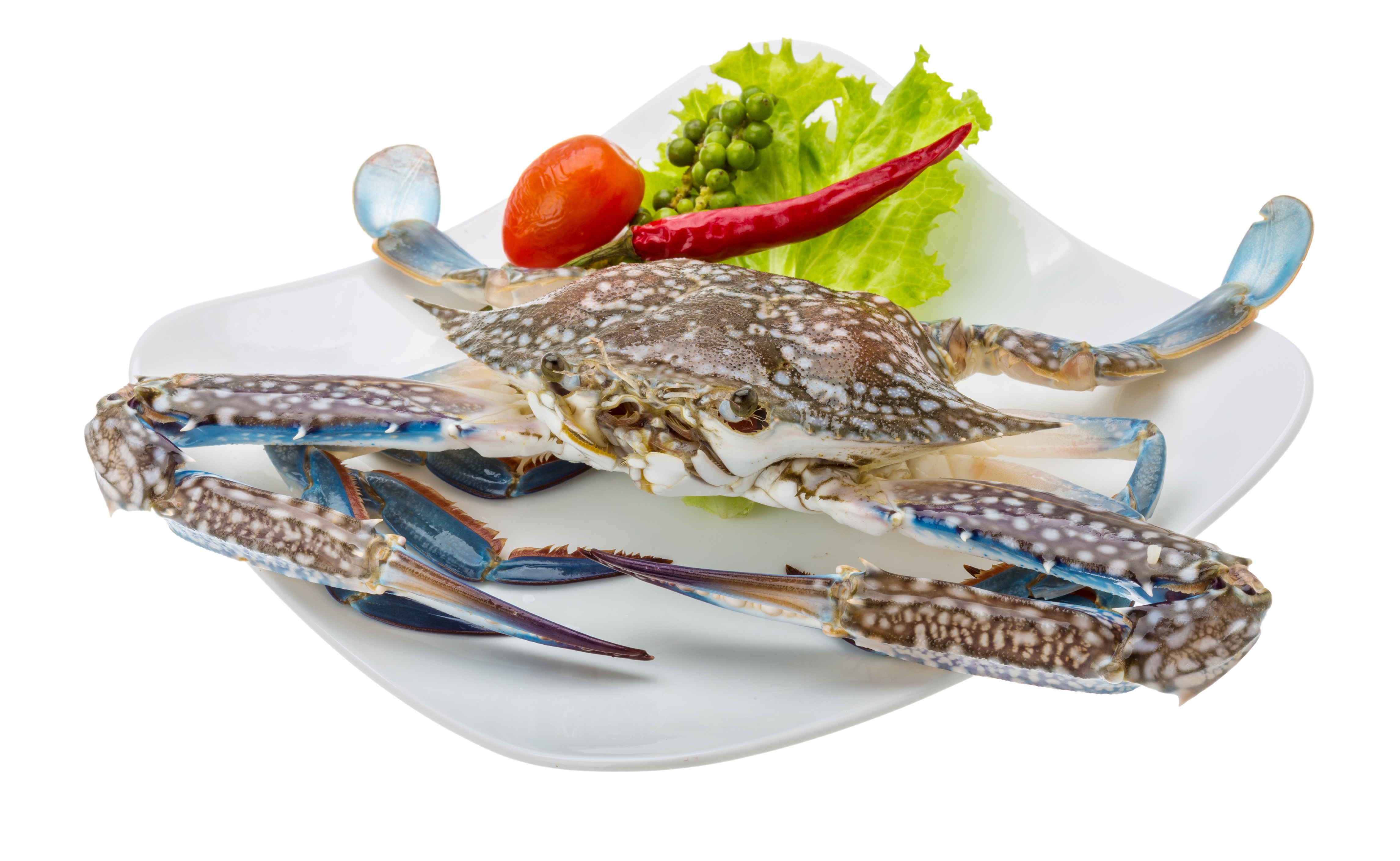 2只每只445两鲜活兰花蟹海南特产水产海鲜满肉海蟹公蟹