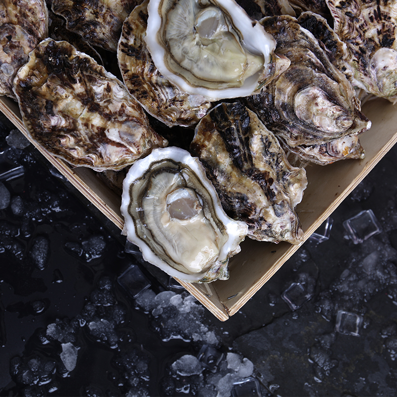 北京闪送鲜活n1玫瑰粉钻生蚝法国进口海鲜生蚝