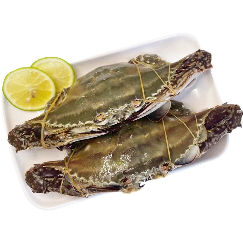 4斤舟山梭子鲜活速冻大白东海公蟹冷冻飞蟹梭子蟹