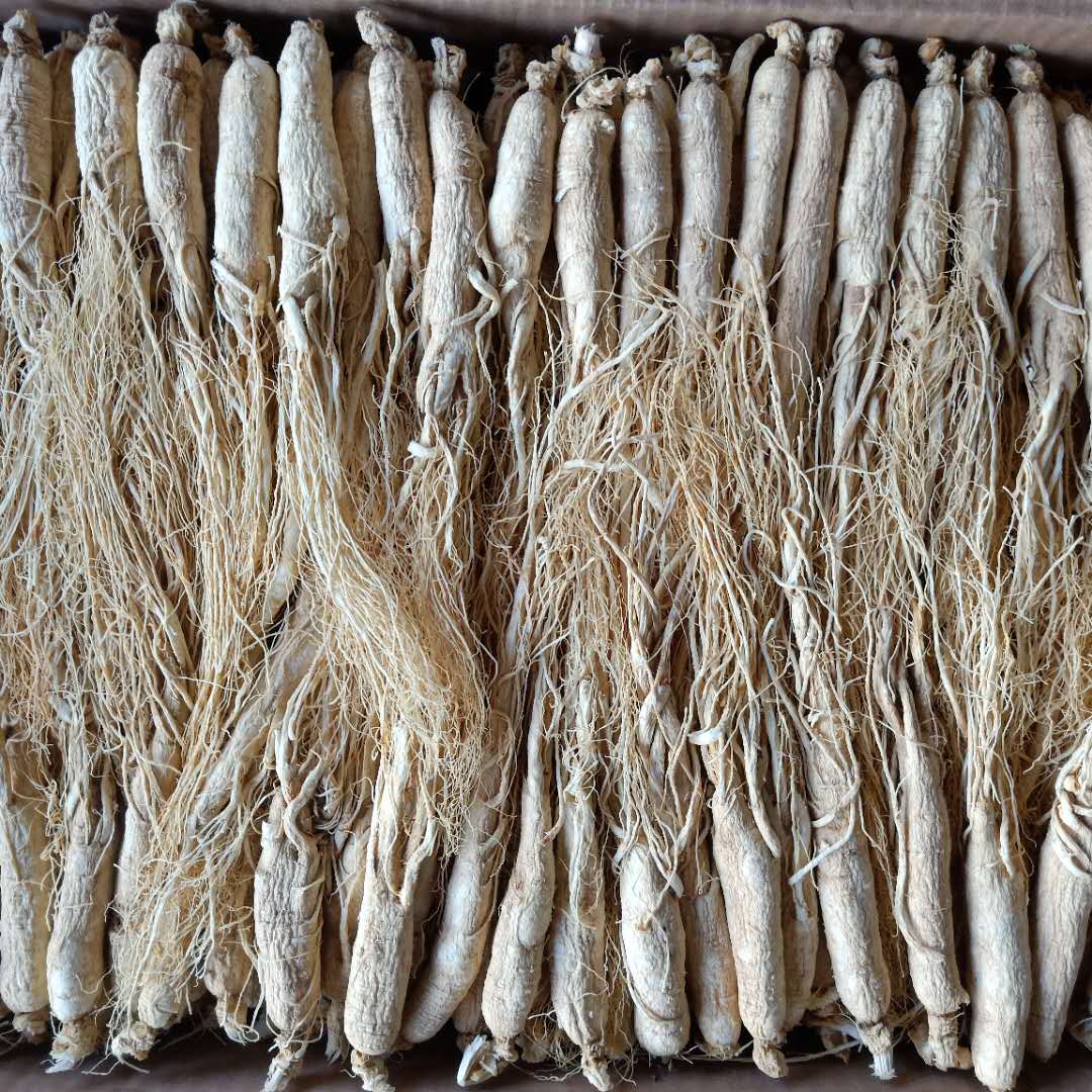 人参新货长白山500g正品东北生晒中药材可打切片其他药食同源食品