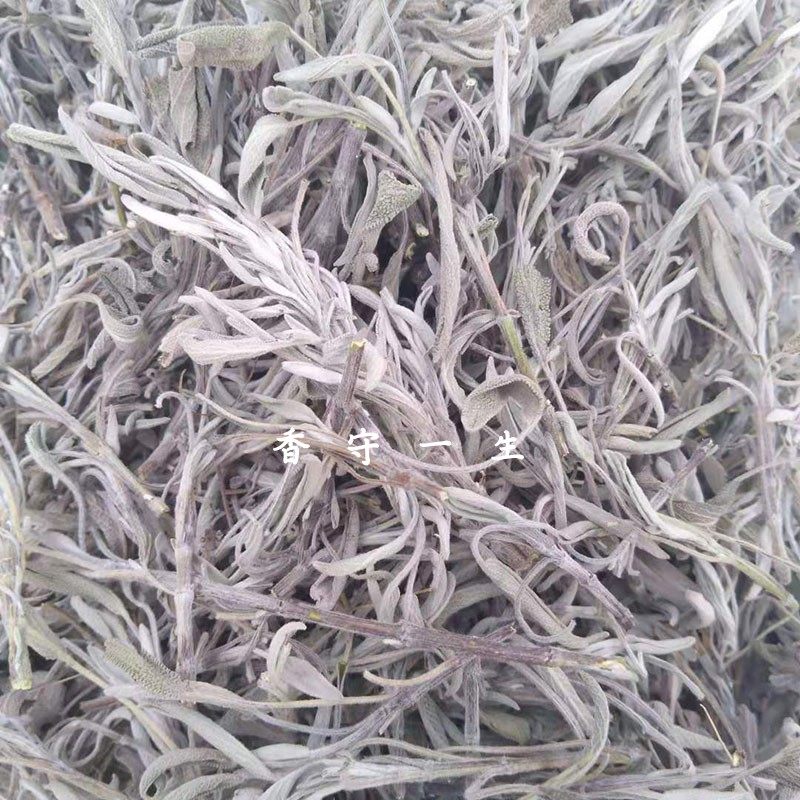 鼠尾草干品新货天然晾晒整叶精选全草提取纯露绿植