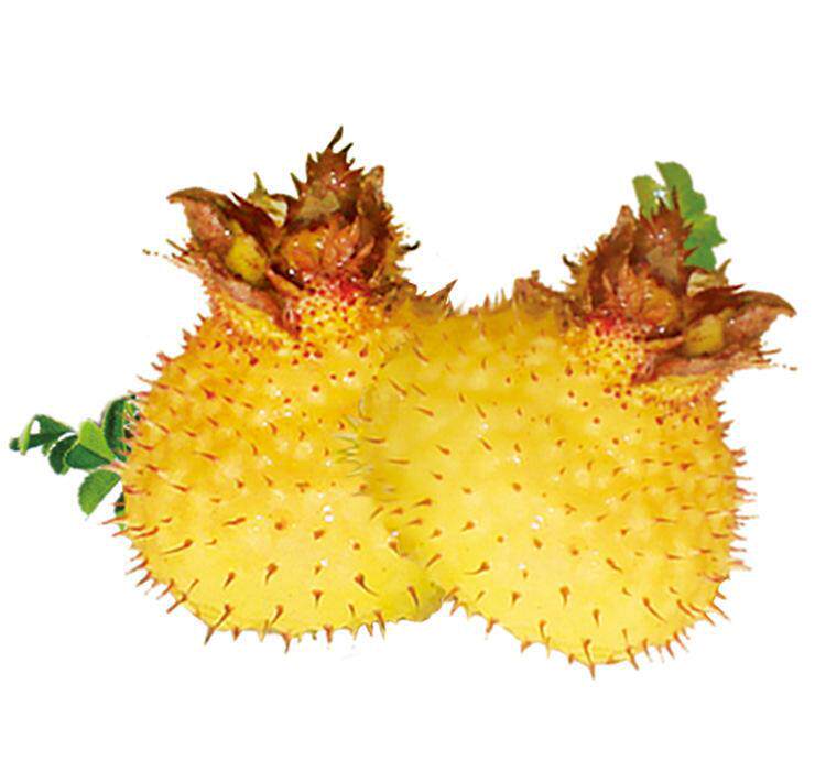 鲜果贵州毕节野生刺梨果新果王可泡水泡酒煮其它