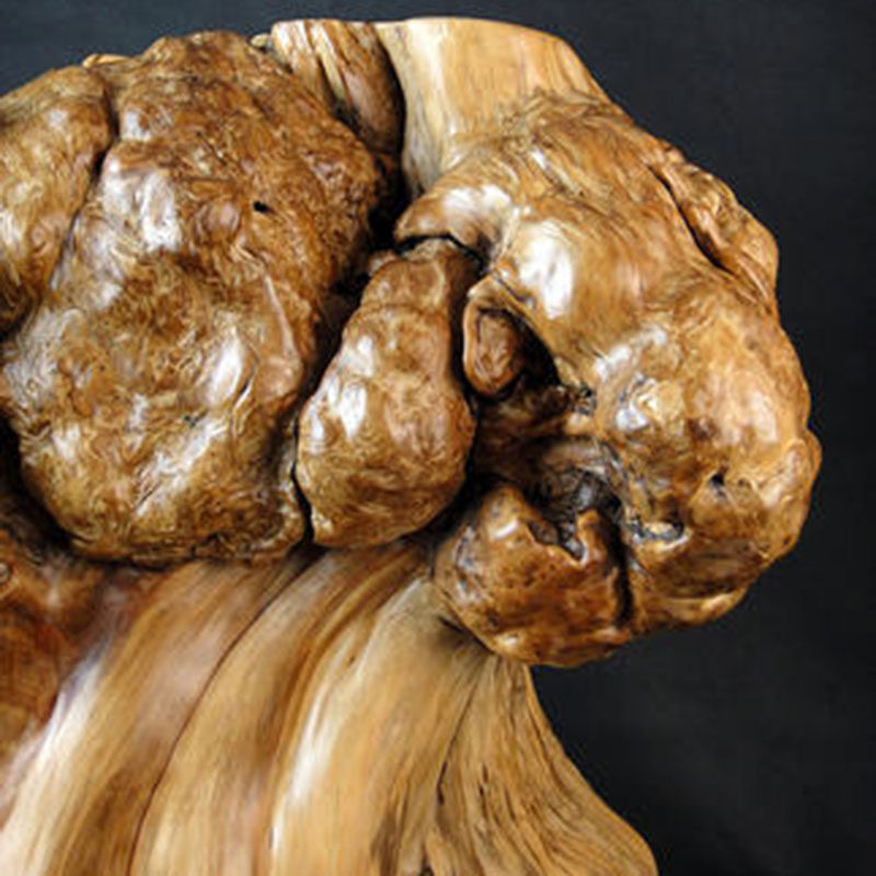 崖柏木雕件瘿瘤影子木树瘤花几花架根艺摆件贰号天然根雕