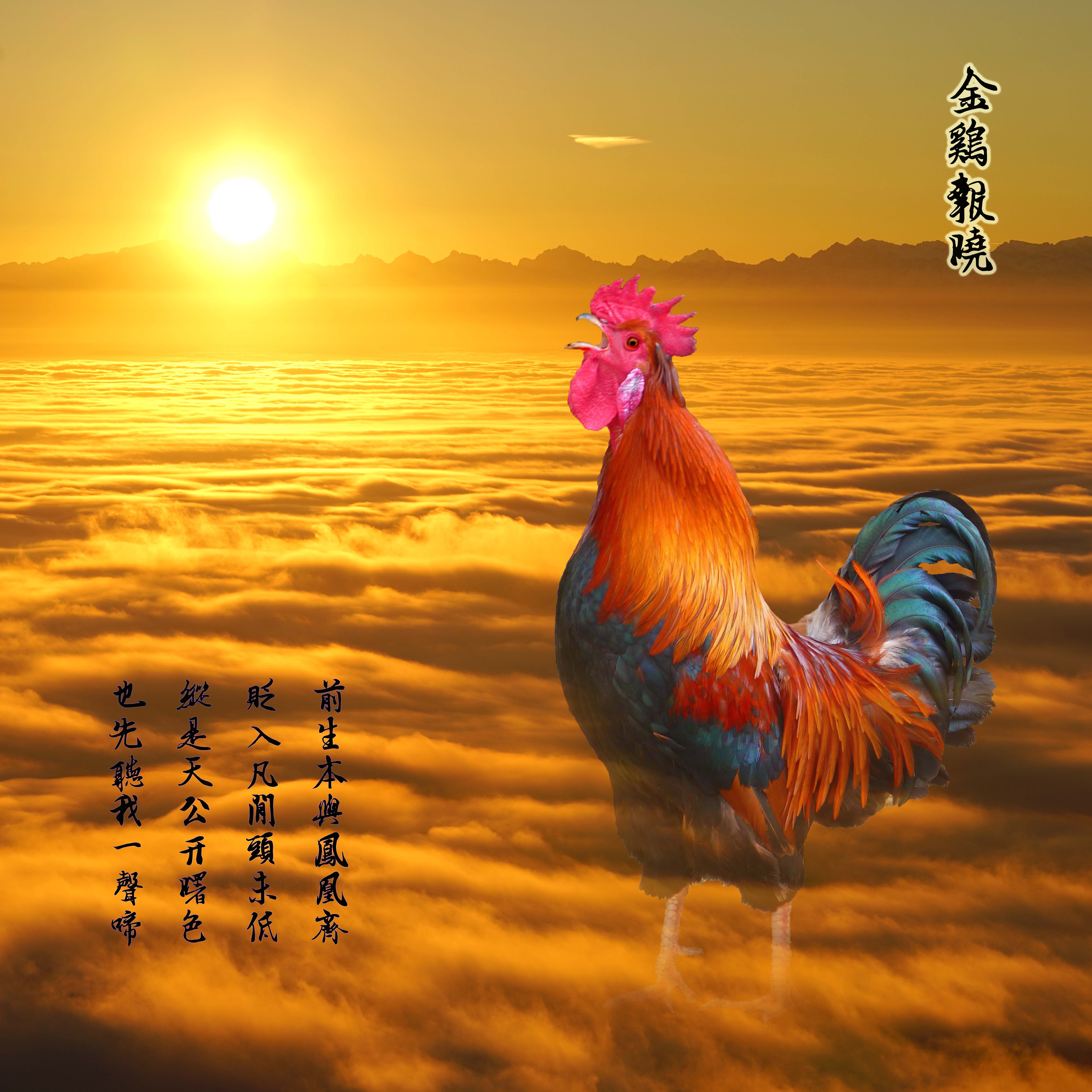 国画大公鸡雄鸡金鸡报晓年画平安动物海报装饰现代装饰画