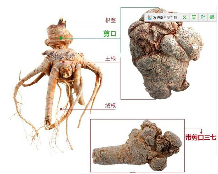 正宗云南文山特产三七无剪口田七20头三七