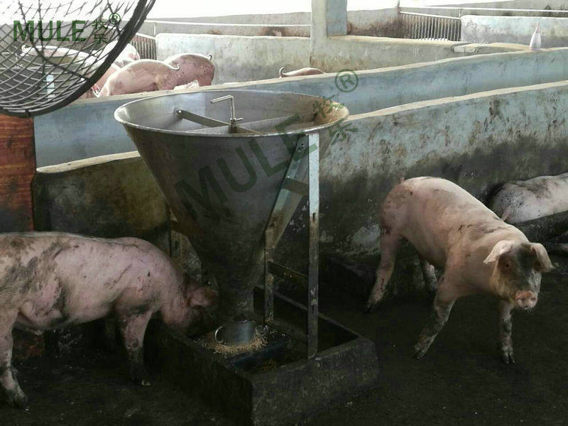 不锈钢干湿料槽育肥母猪食槽猪用自动下料槽保育喂料器自由采食桶