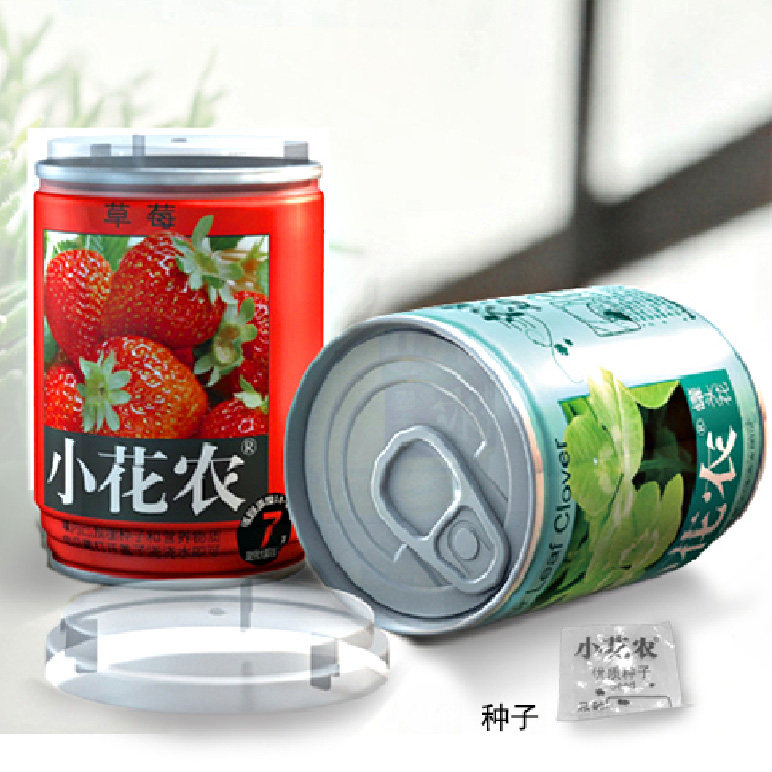 小花农罐头创意迷你花卉蔬果植物盆栽办公室diy创意迷你植物