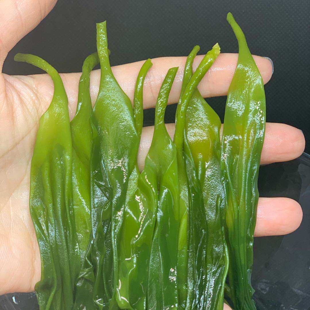 海带苗嫩特级凉拌食材火锅特产霞浦新鲜盐渍海带