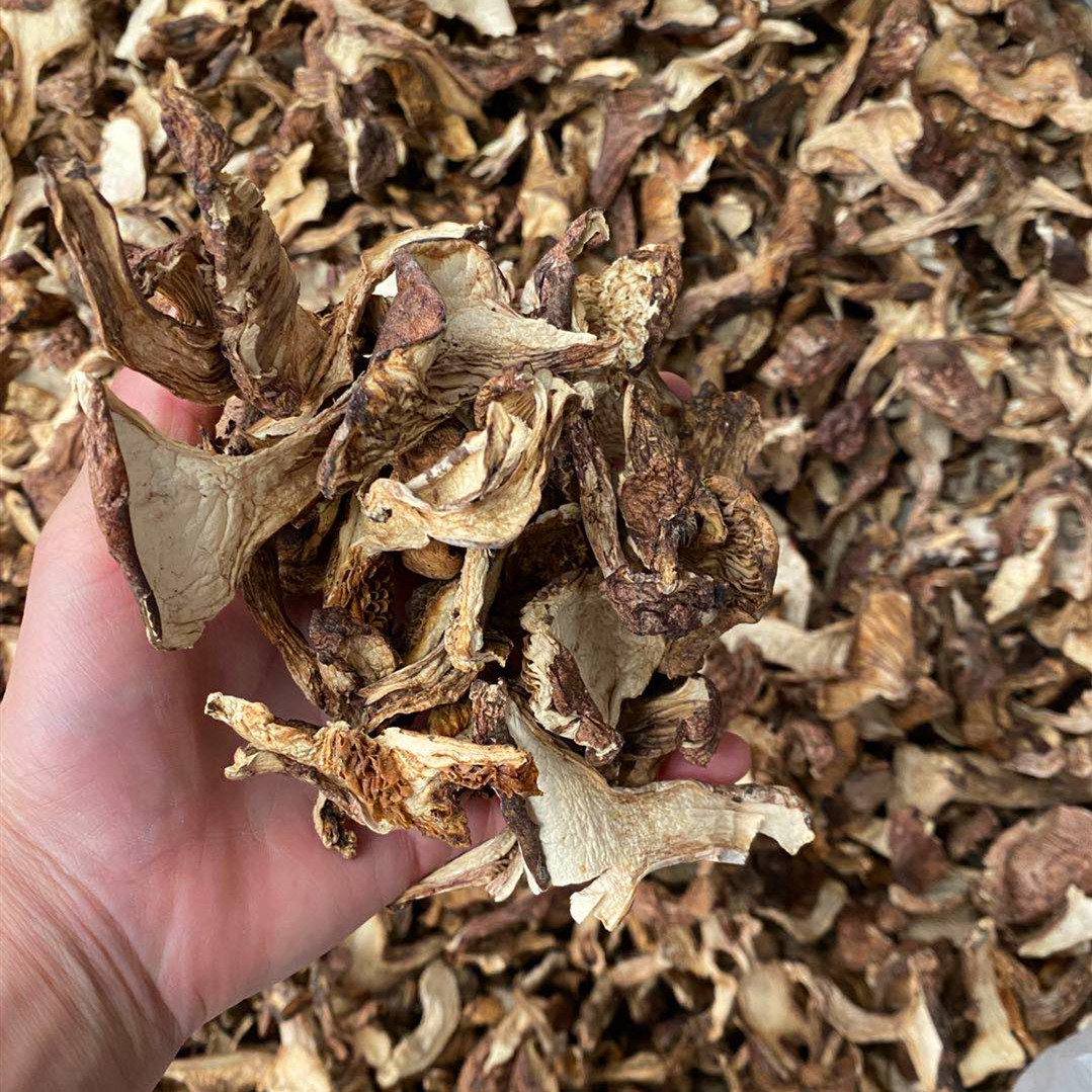 云南特产藏区野生杠菌青冈菌青岗菌鸡丝菌干片香菇类