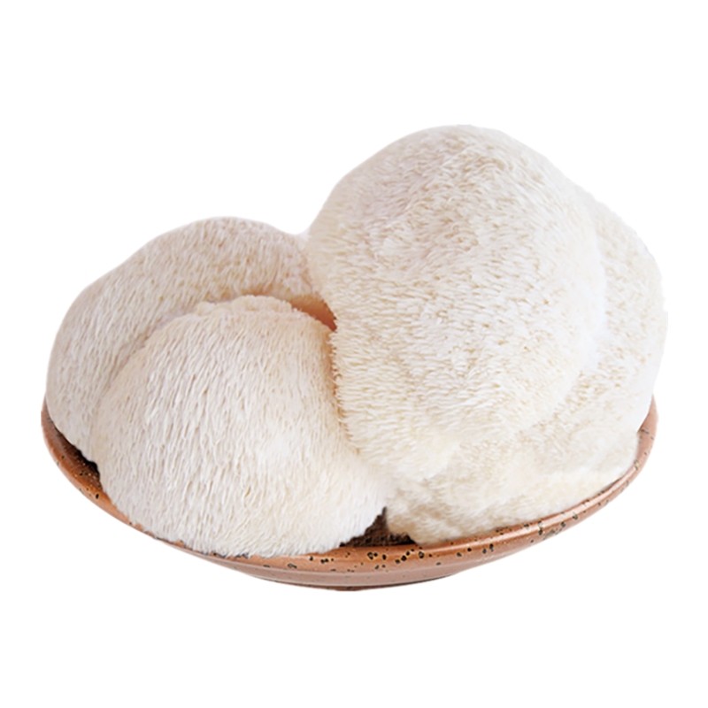 猴头新鲜食用菌1000g福建古田特产蘑菇鲜活菇无猴头菇