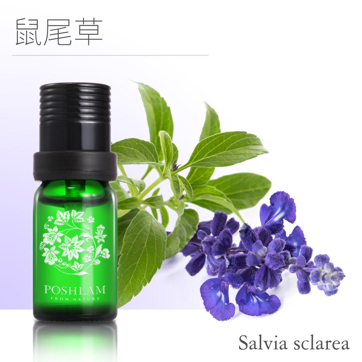 精油宝琪兰快乐鼠尾草10ml控油紧致单方送好单方精油