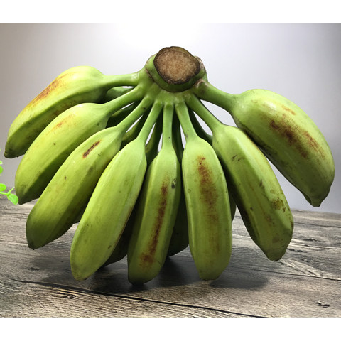顺丰包邮广东芭蕉大蕉plantain新鲜酸甜水果80250克香蕉
