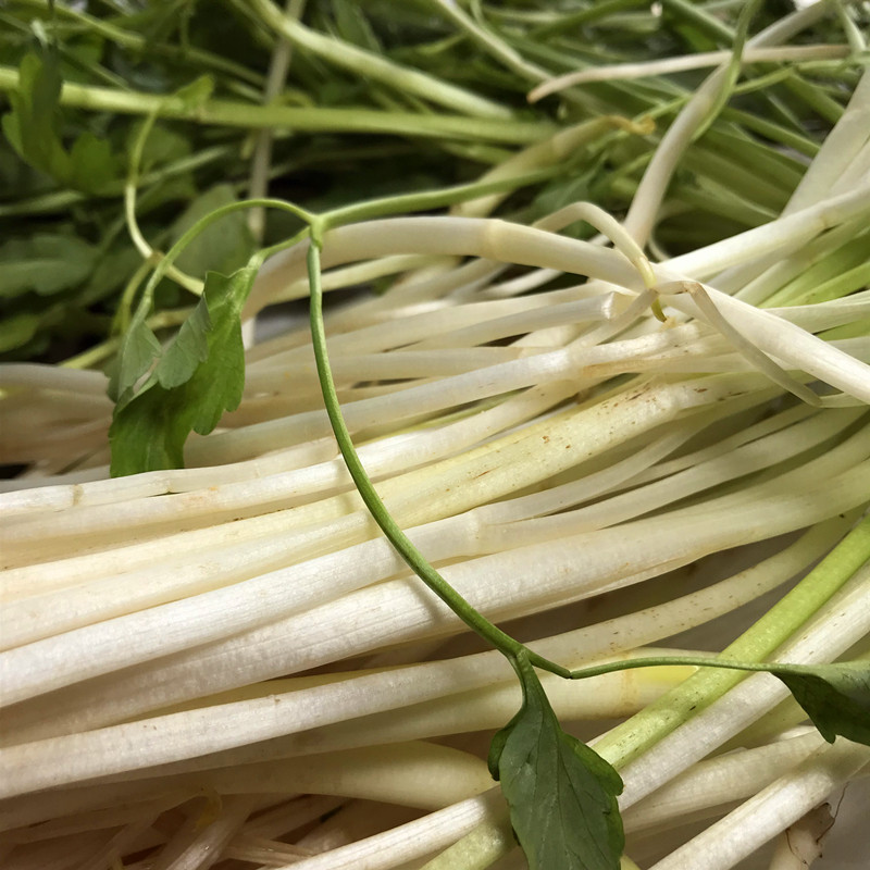 安徽无为特产野生吕蒿红杆子吕蒿农家泥蒿现择现发