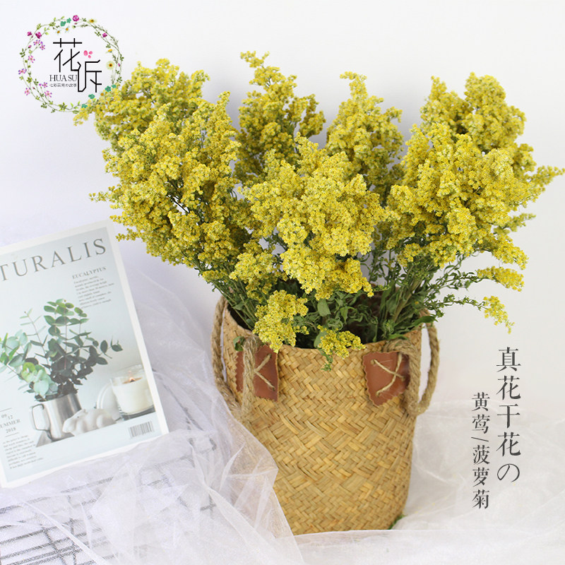 黄莺菠萝干花翠扇真花风干装饰插花配花文艺干花