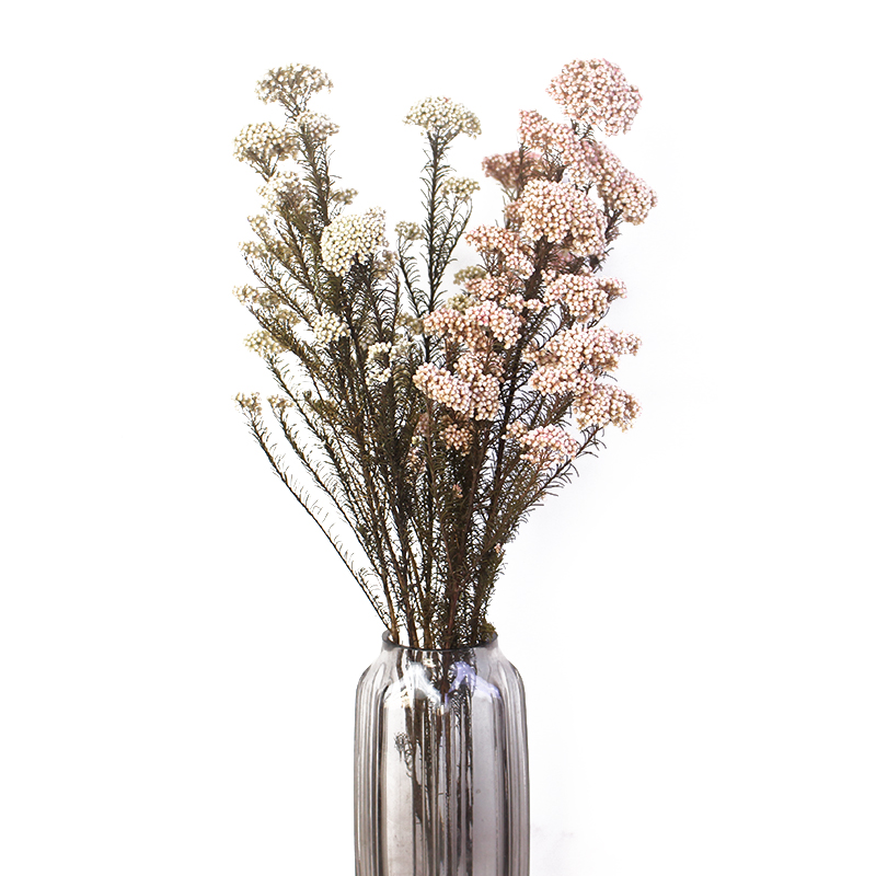 干花永生生米花真网红少女高端diy永生花家居装饰干花