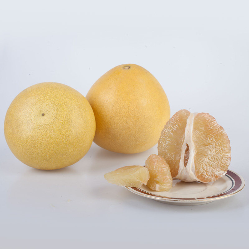 苍南南马站中魁村四季柚子35年老树20斤大果柚子