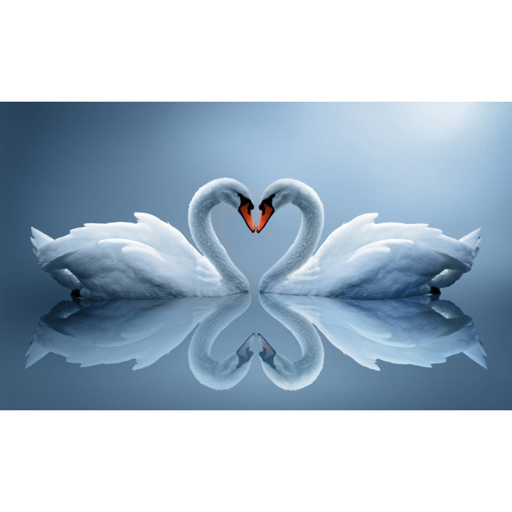 天鹅湖墙画装饰画客厅沙发玄关背景墙画自粘贴贴画现代装饰画