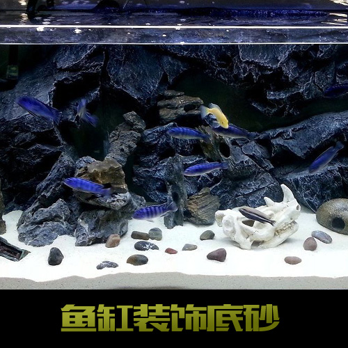 鱼缸底砂造景底沙石头天然白沙子水族箱石子摆件装饰品小彩石包邮