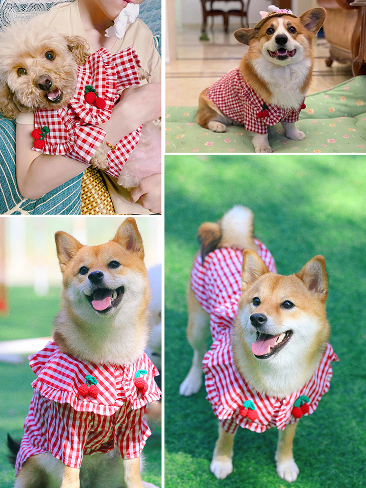 柴犬小狗衣服薄款春夏比熊泰迪樱桃衬衫防掉毛狗宠物服装