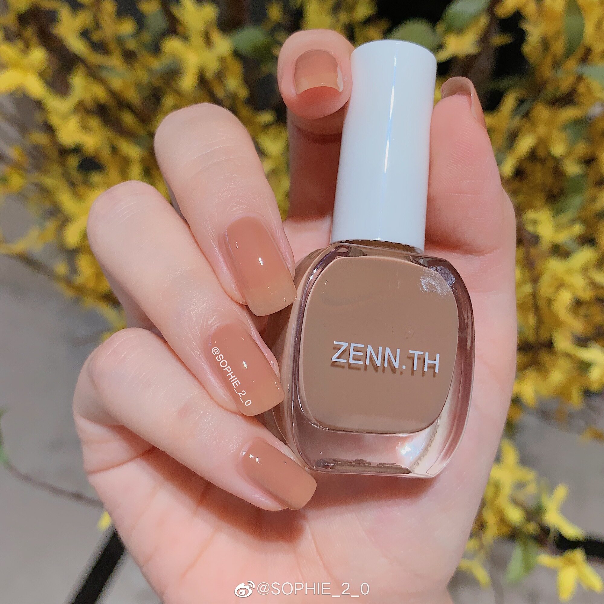 小甲指甲油兰迪莫兰温柔油温简简单单新品zennth现货甲油胶